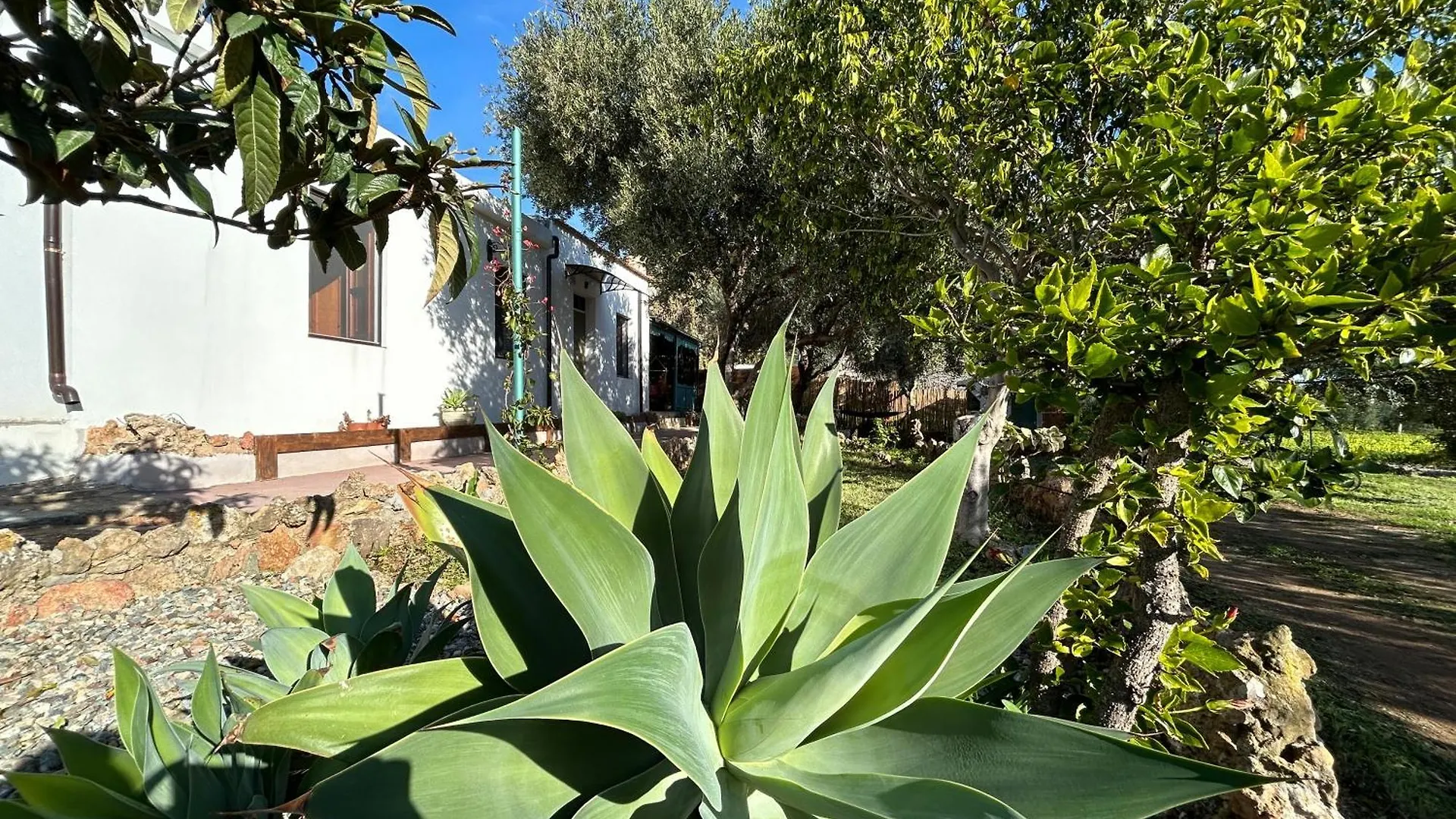 Casa Sa Breca Villa Tertenìa
