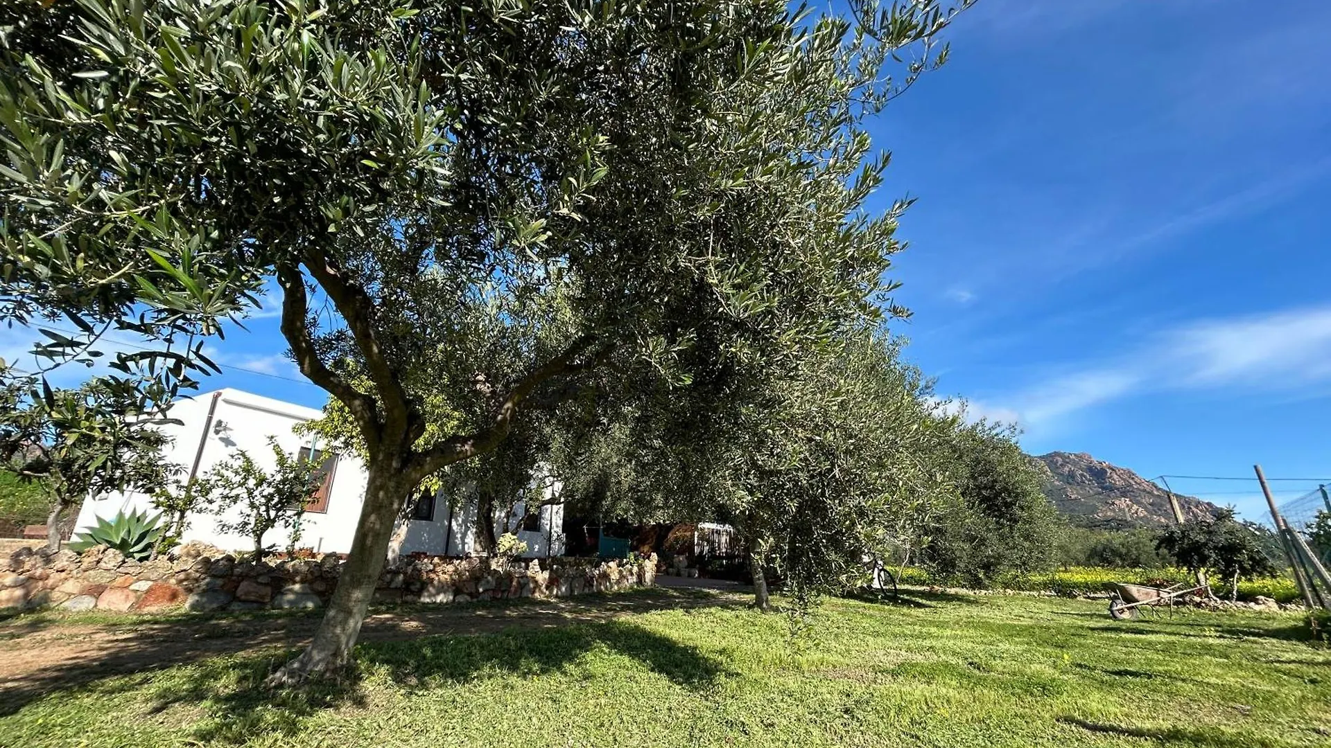 Casa Sa Breca Villa Tertenìa